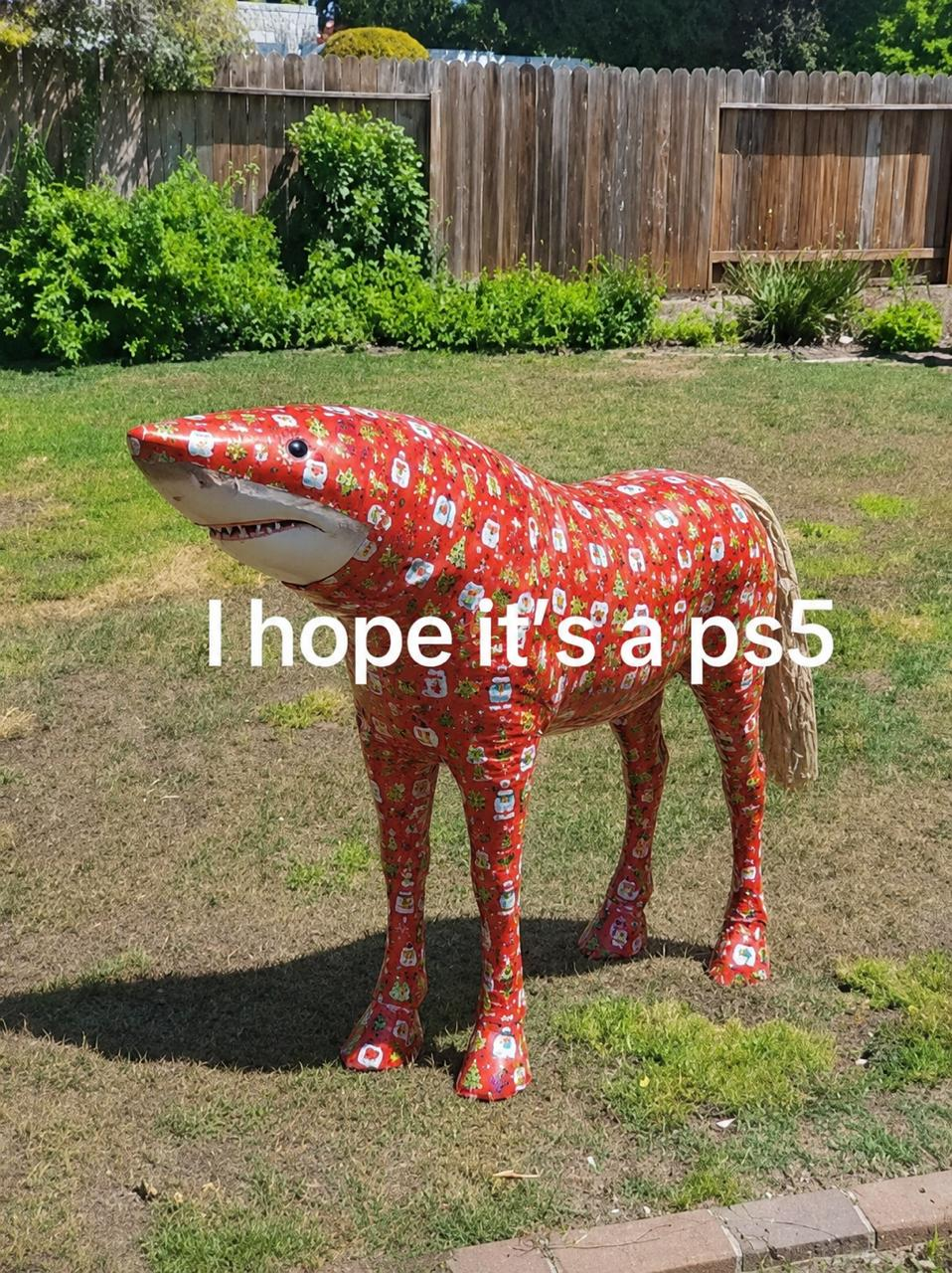 shorse wrapped in christmas paper — i hope it's a ps5